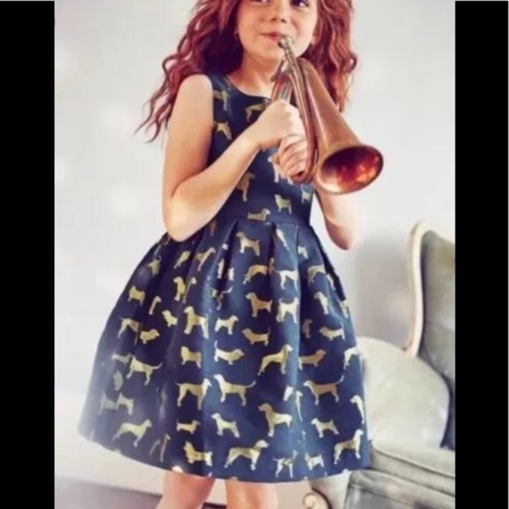 Mini Boden size 2-3 dog sparkle dress